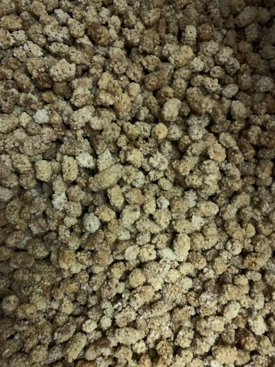 Dried White Mulberries (Toot Khoshk)