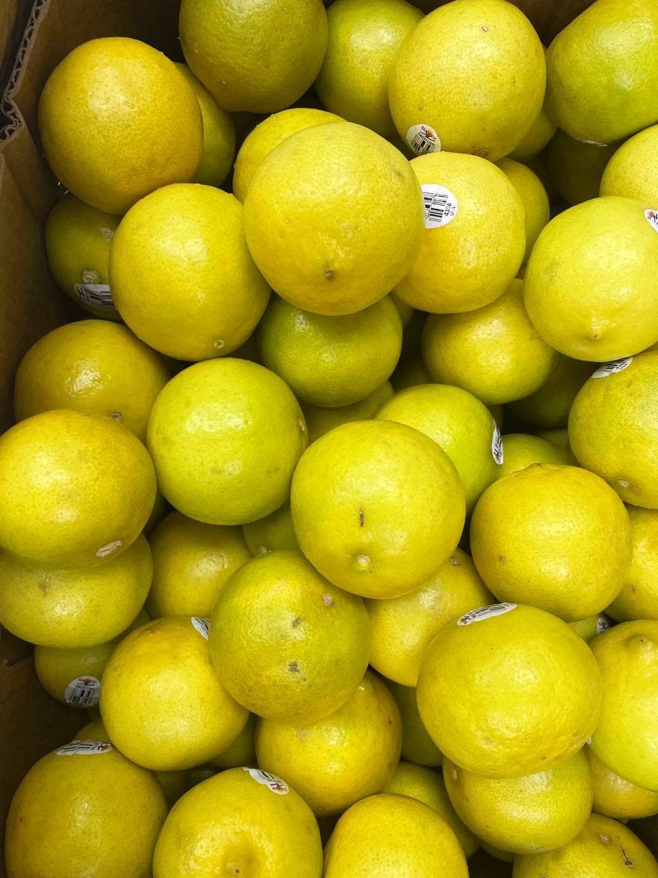 Fresh Lemons
