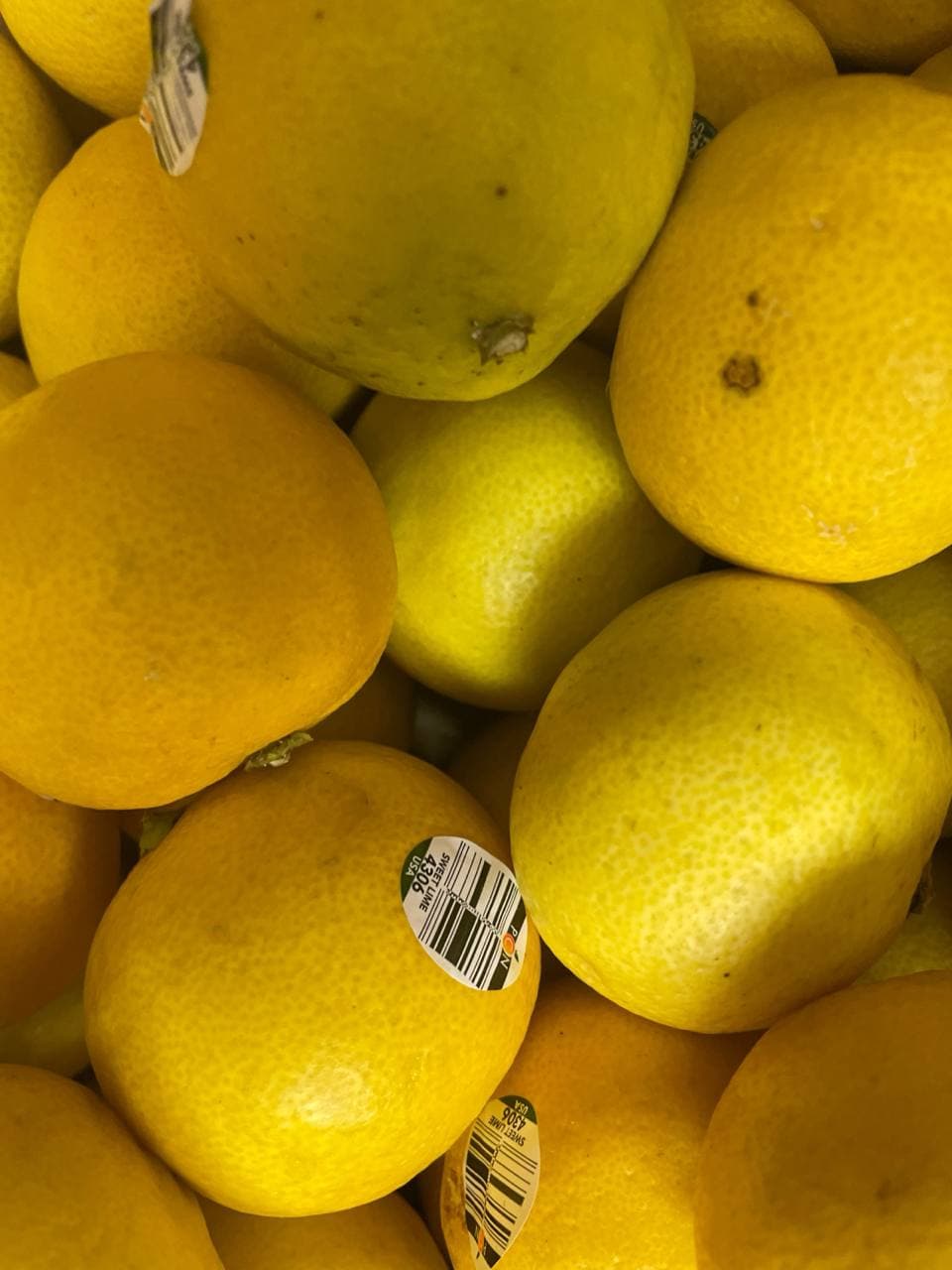Persian Sweet Limes (Limu Shirin)